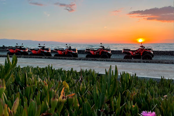 Aphrodite Wellness 17